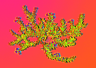 Neon Botanical Drawing