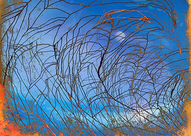 The moon through time