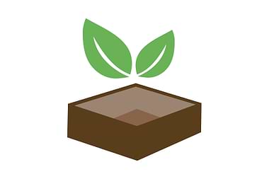 Box of vegetarian food