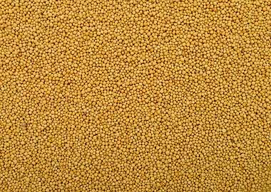 mustard seeds texture
