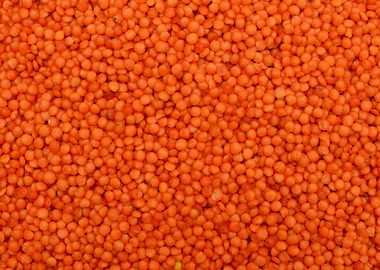 red lentil seeds texture