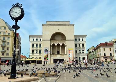 timisoara opera house