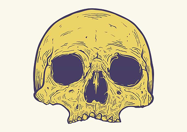 Skull
