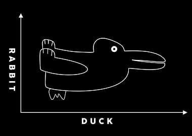 duck rabbit illusion