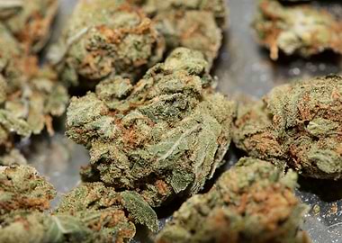 Strawberry haze background