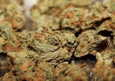 Strawberry haze background