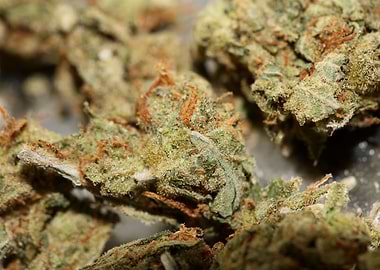 Strawberry haze background