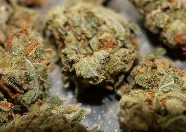 Strawberry haze background