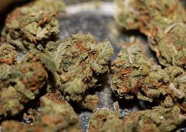 Strawberry haze background