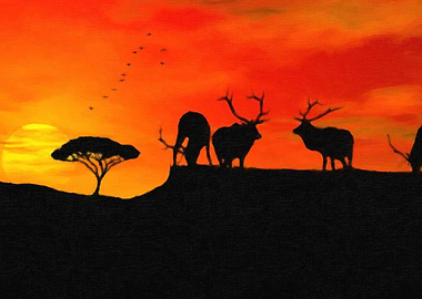 African Sunset