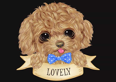 Beautiful poodle dog