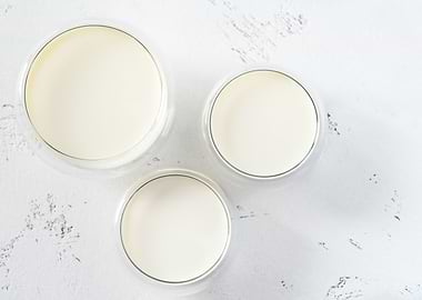 Bowls of dairy products