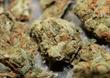 Strawberry haze background