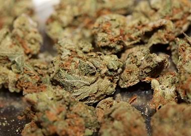 Strawberry haze background