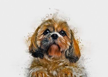 Shih Tzu Art