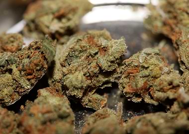 Strawberry haze background