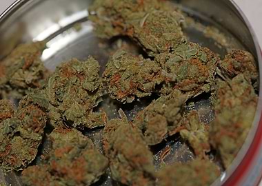 Strawberry haze background