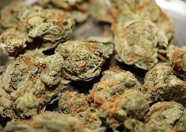 Strawberry haze background