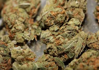 Strawberry haze background