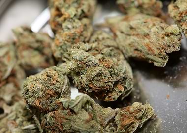 Strawberry haze background