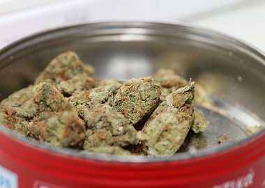 Strawberry Super Skank