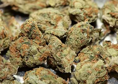 Strawberry Super Haze