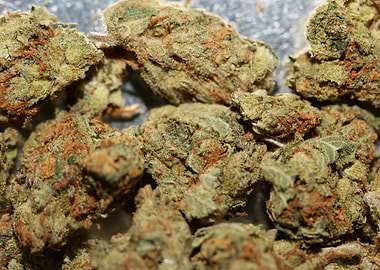 Strawberry Super Haze