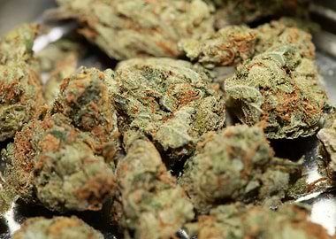 Strawberry Super Haze