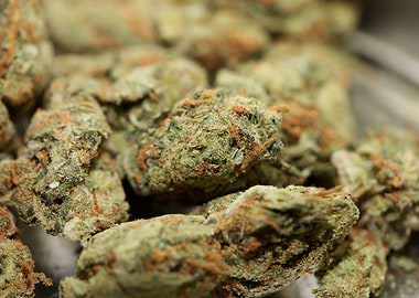 Strawberry Super Haze