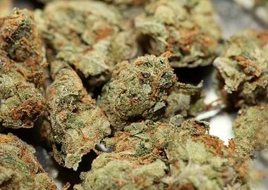 Strawberry Super Skank