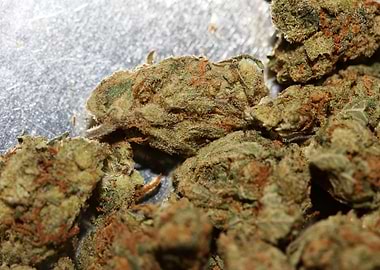 Strawberry Super Haze