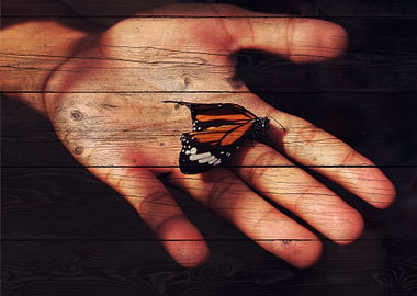 Butterfly Art