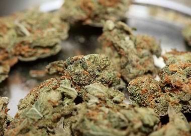 Strawberry Super Haze