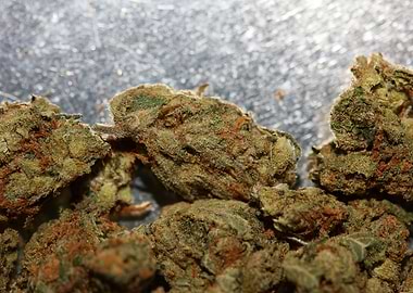 Strawberry Super Haze