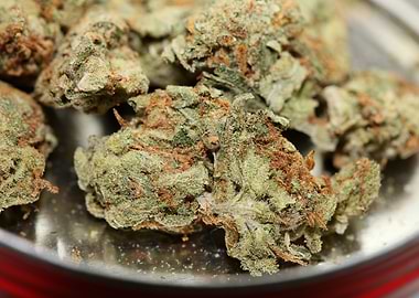 Strawberry Super Haze