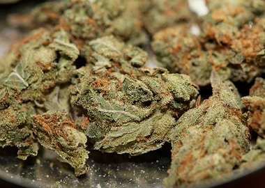 Strawberry Super Haze