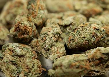 Strawberry Super Haze