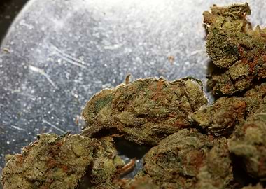 Strawberry Super Haze