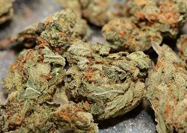 Strawberry Super Haze