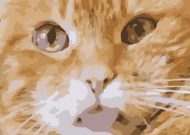 Cat Animal Pet Poster