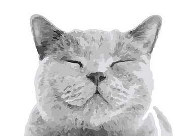Animal Cat Grey Poster