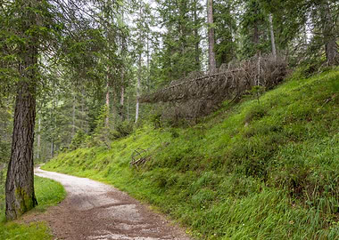 Dolomites near Cortina