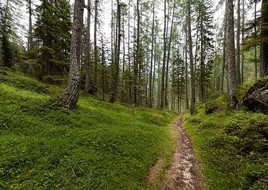 Dolomites near Cortina