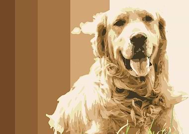 Cocker Spaniel Poster