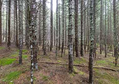 Dolomites near Cortina