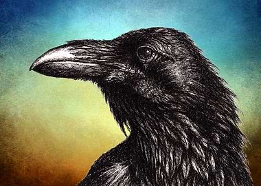 Raven