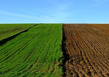 Colorful Extremadura II