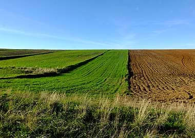 Colorful Extremadura III