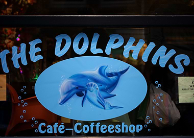 Dolphins coffeshop deco