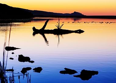 Still waters fourteen